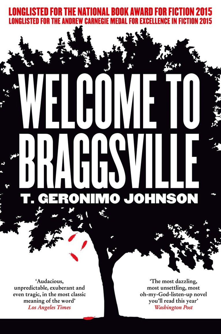 T Geronimo Johnson - Welcome to Braggsville, E-bok