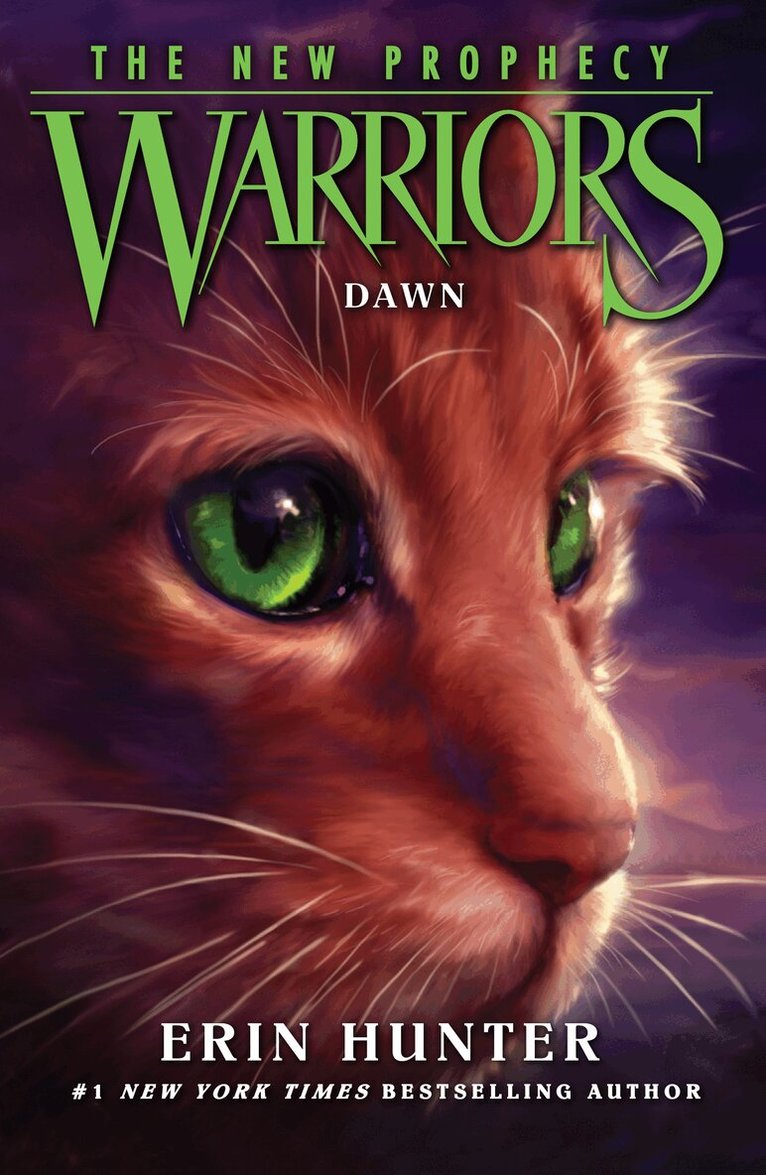 Erin Hunter - DAWN, E-bok