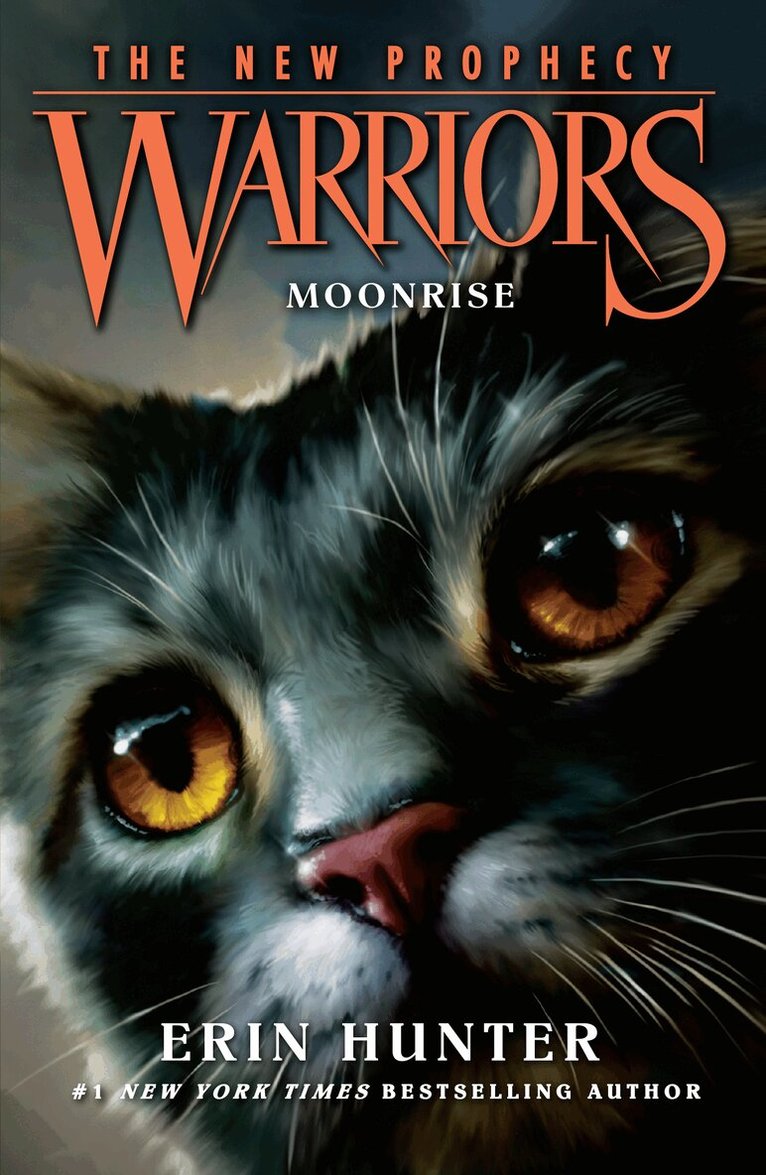 Erin Hunter - MOONRISE, E-bok
