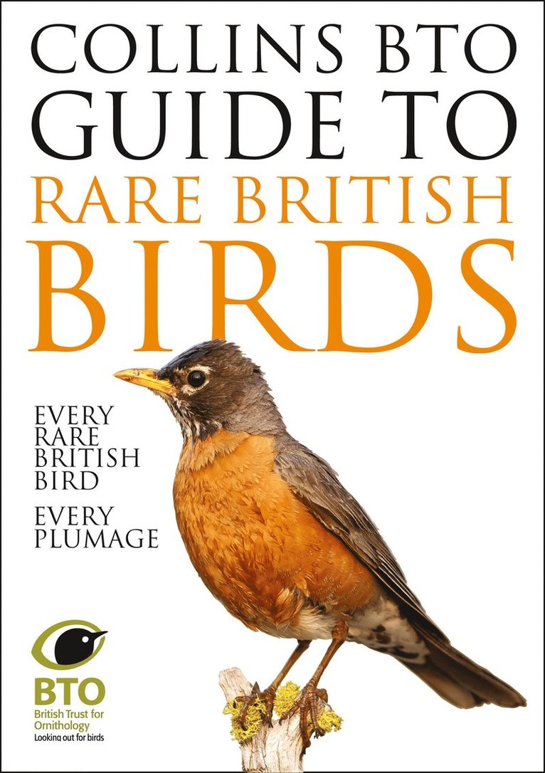 Paul Sterry, Paul Stancliffe - Collins BTO Guide to Rare British Birds, Häftad