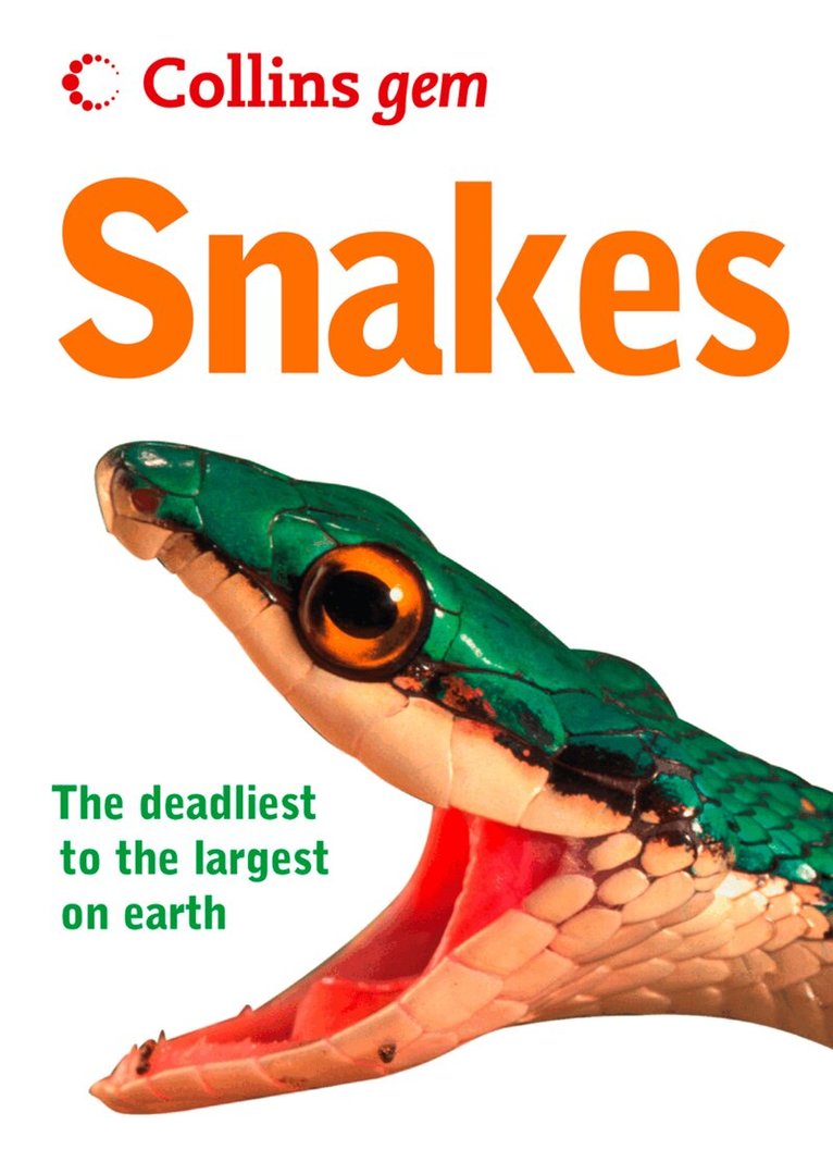 Chris Mattison - Snakes, E-bok