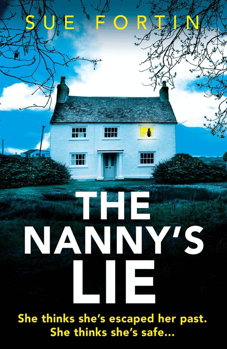 Sue Fortin - Nanny’s Lie, E-bok