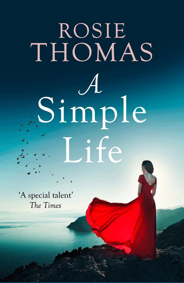 Rosie Thomas - Simple Life, E-bok