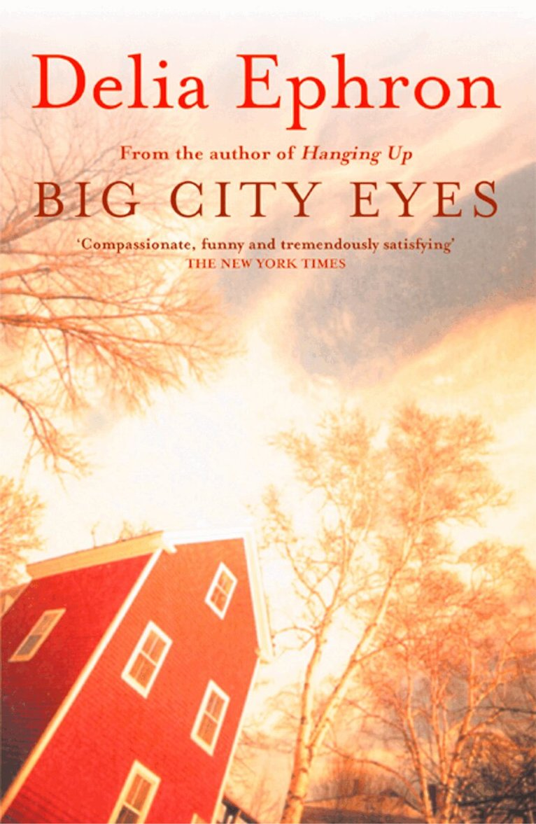 Delia Ephron - Big City Eyes, E-bok