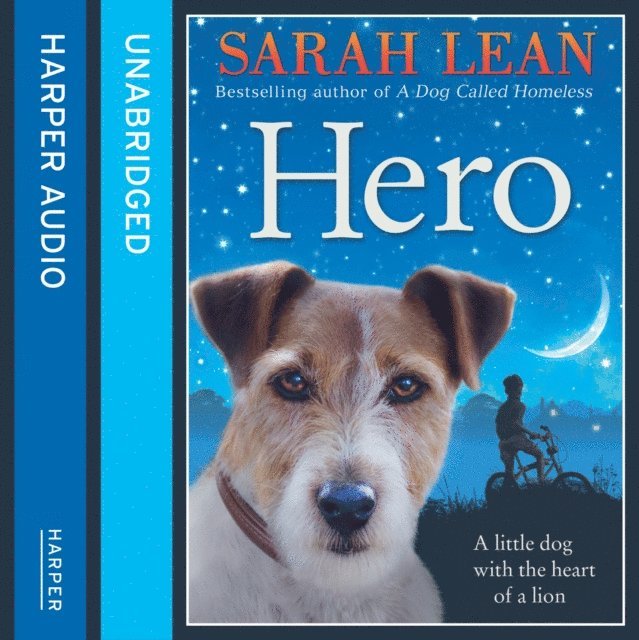 Sarah Lean - Hero, Ljudbok