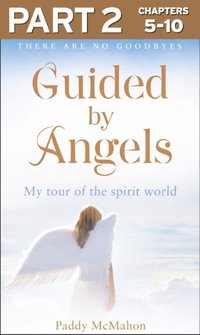 Guided By Angels: Part 2 of 3: There Are No Goodbyes, My Tour of the Spirit World