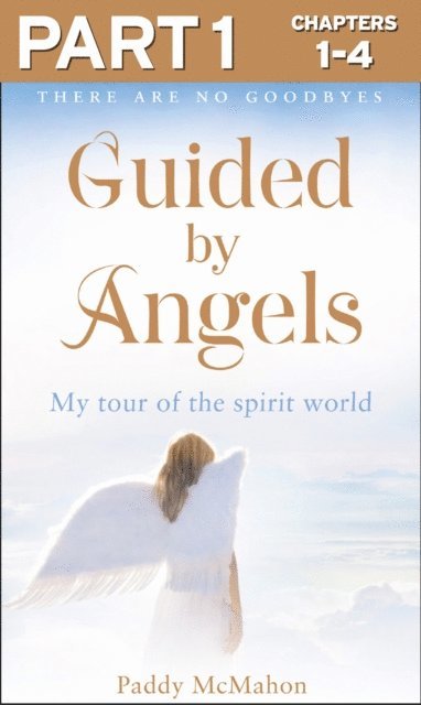 Paddy McMahon - Guided By Angels: Part 1 of 3, E-bok