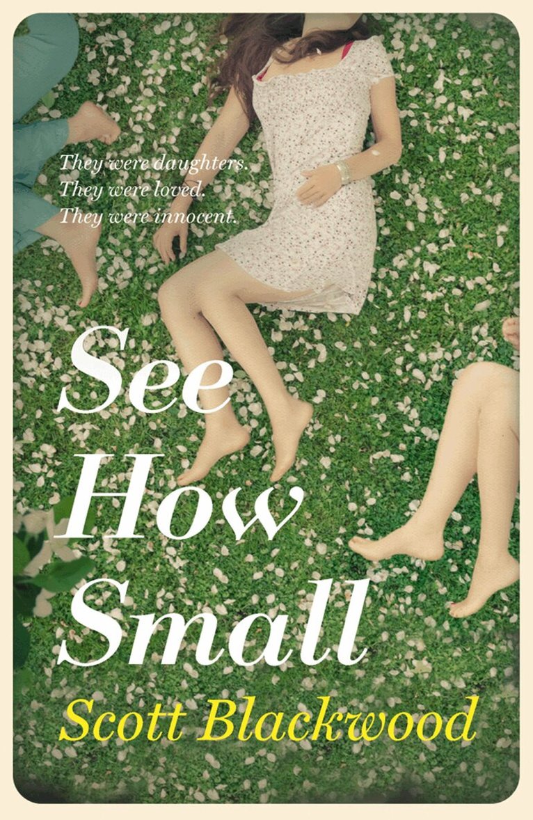 Scott Blackwood - See How Small, E-bok