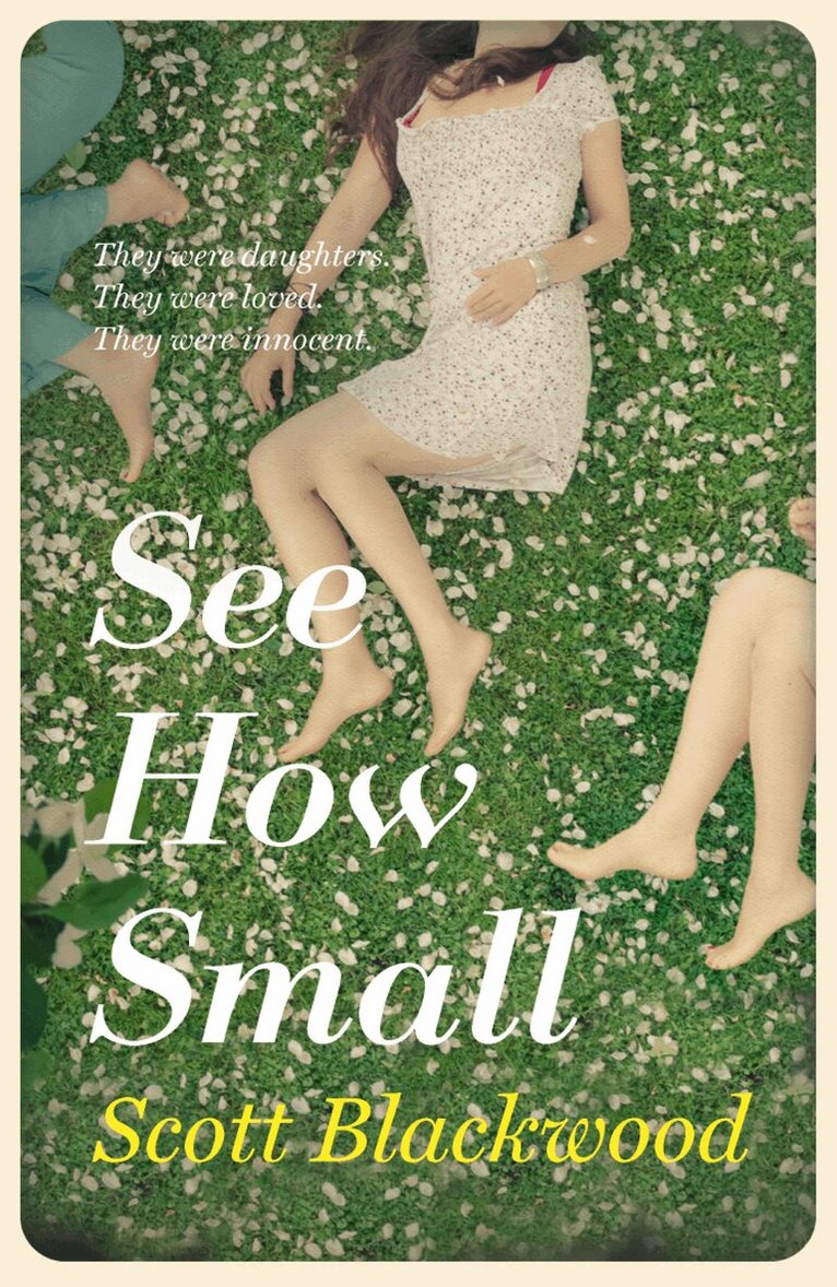 Scott Blackwood - See How Small, Häftad
