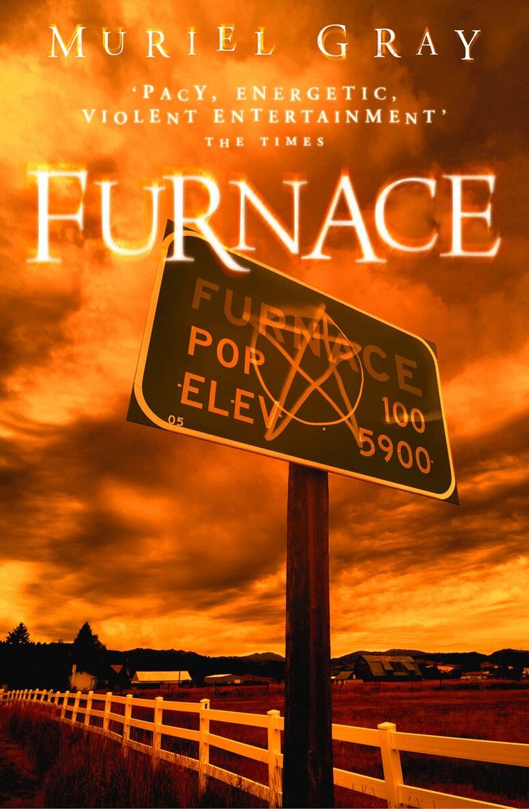 Muriel Gray - Furnace, E-bok