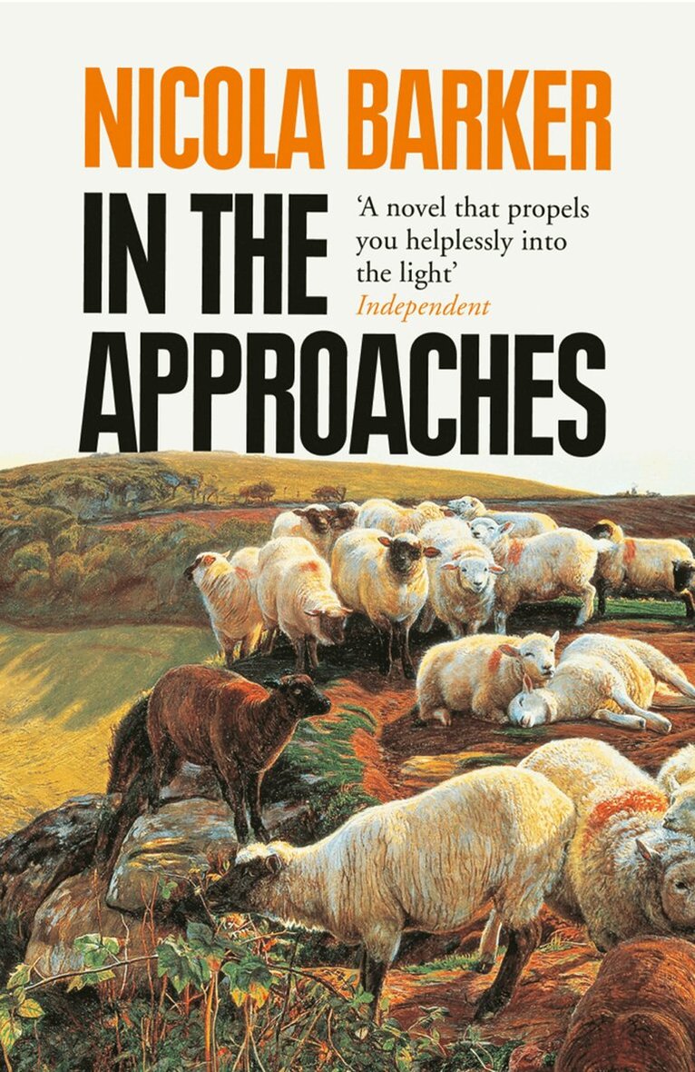 Nicola Barker - In the Approaches, E-bok