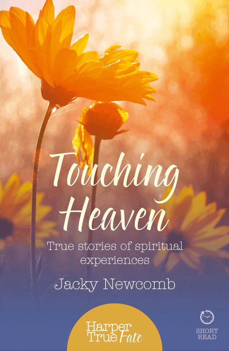 Jacky Newcomb - Touching Heaven, E-bok
