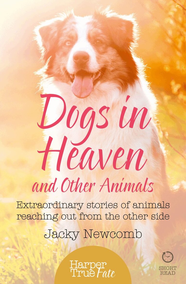 Jacky Newcomb - Dogs in Heaven: and Other Animals, E-bok