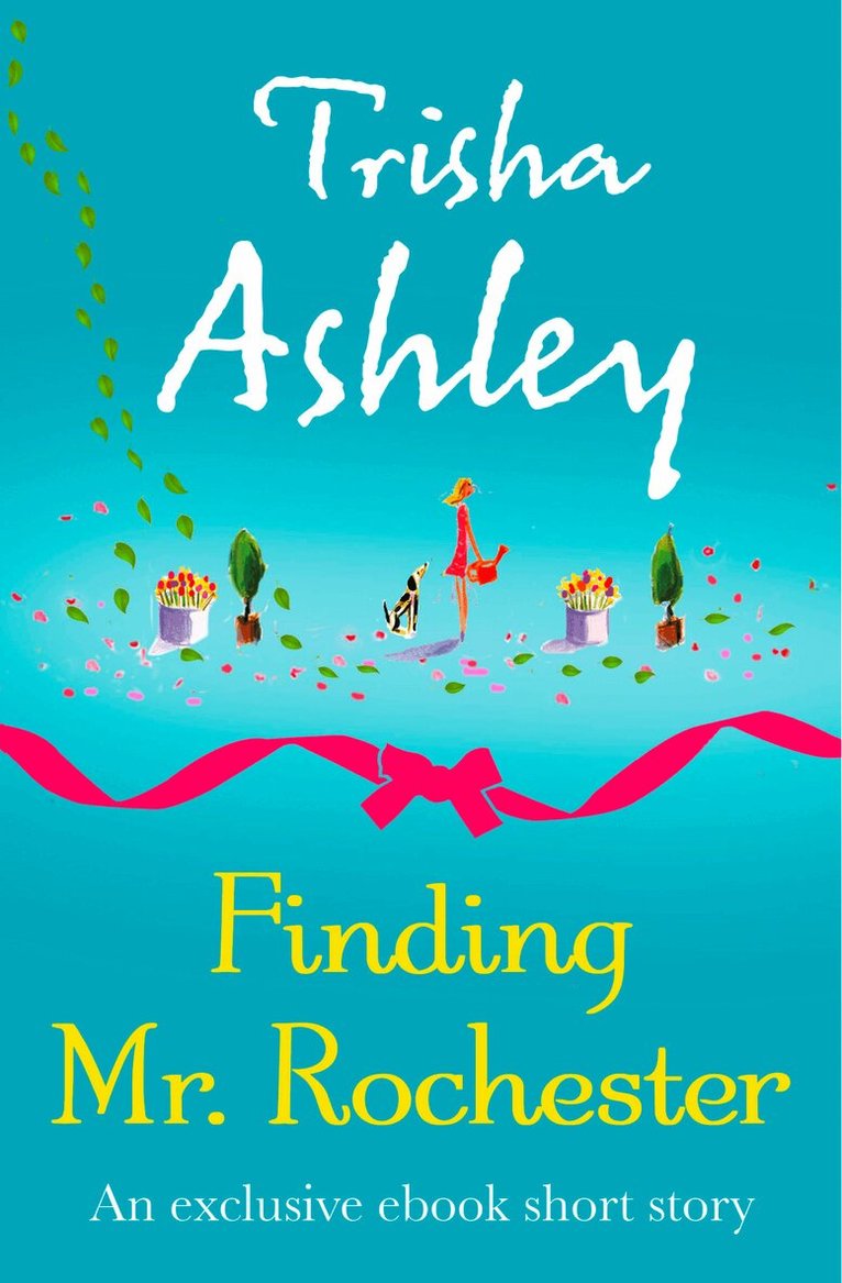 Trisha Ashley - Finding Mr Rochester, E-bok