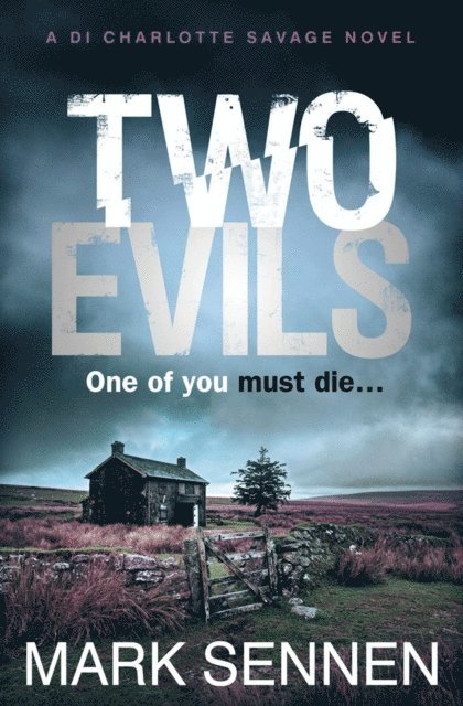 Mark Sennen - Two Evils, E-bok