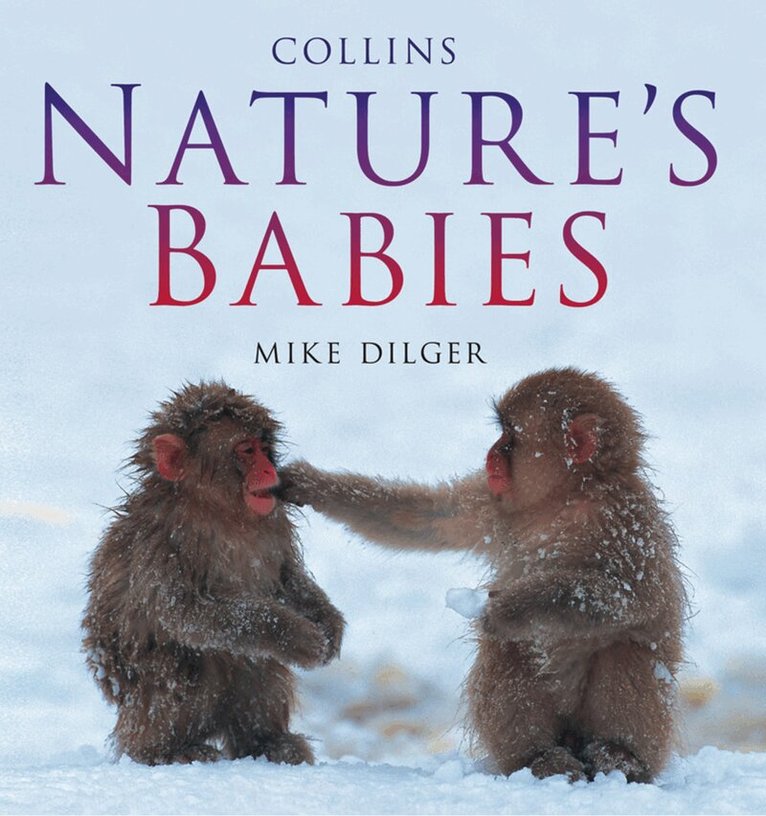 Mike Dilger - Nature’s Babies, E-bok. Tillgänglighet: Lägg i varukorg