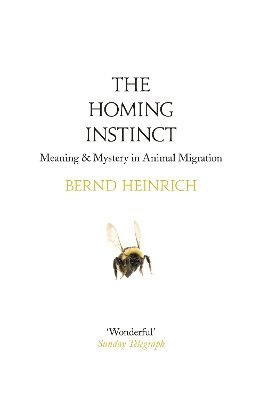 Homing Instinct av Bernd Heinrich