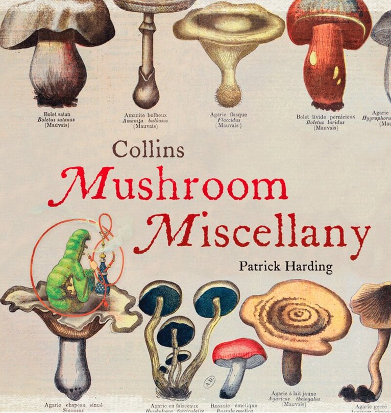 Patrick Harding - Collins Mushroom Miscellany, E-bok