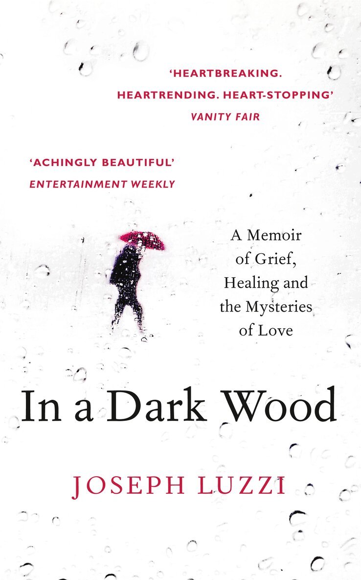 Joseph Luzzi - In a Dark Wood, E-bok