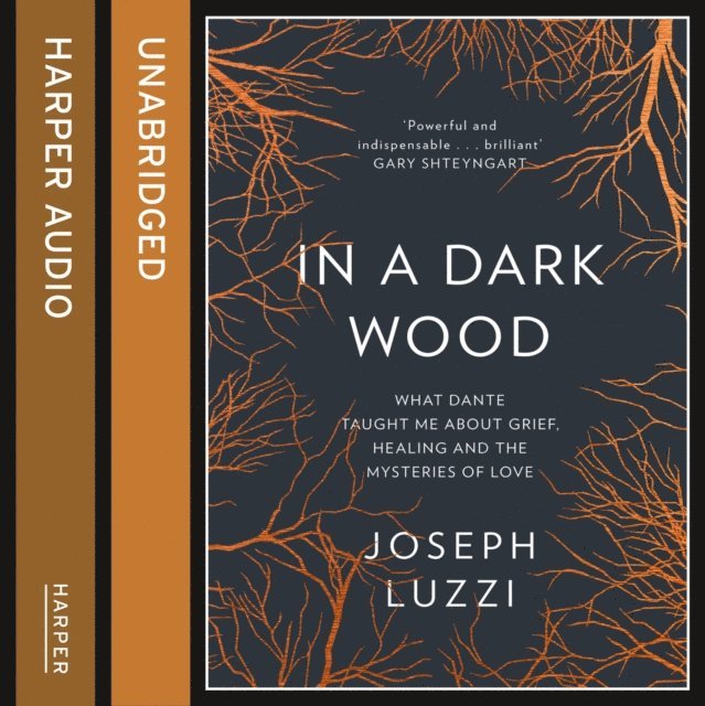 Joseph Luzzi - In a Dark Wood, Ljudbok