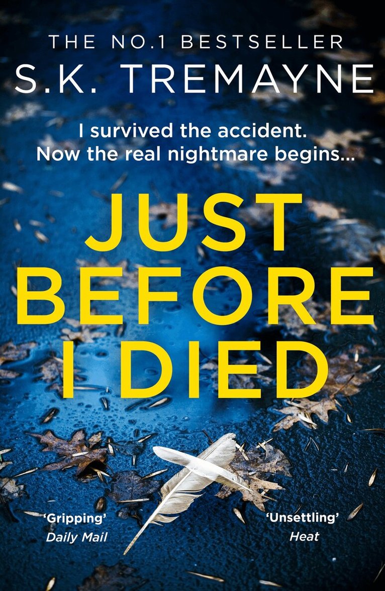 S. K. Tremayne - Just Before I Died, E-bok