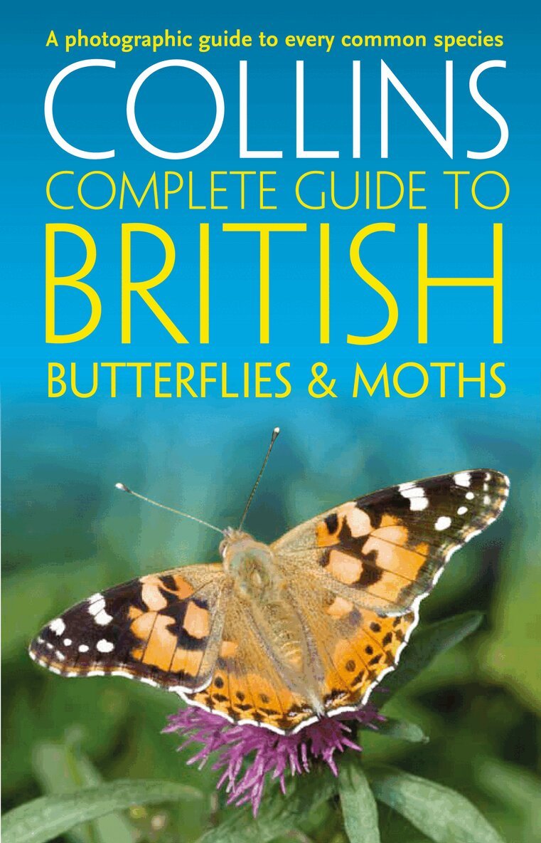 Paul Sterry, Andrew Cleave, Rob Read - British Butterflies and Moths, E-bok
