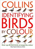 Identifying Birds by Colour