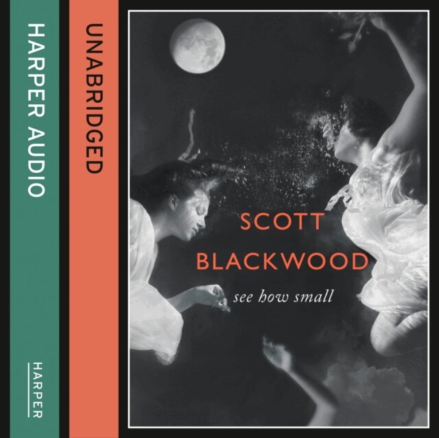 Scott Blackwood - See How Small, Ljudbok