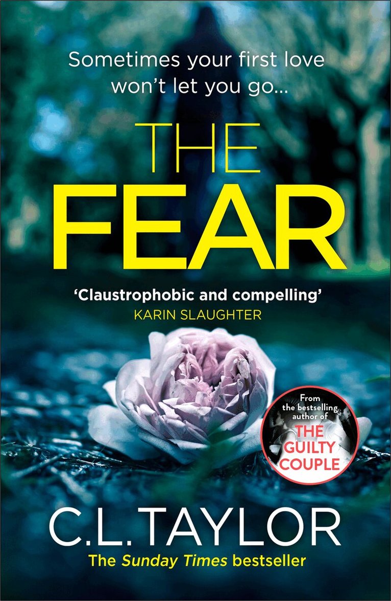 C.L. Taylor - Fear, E-bok