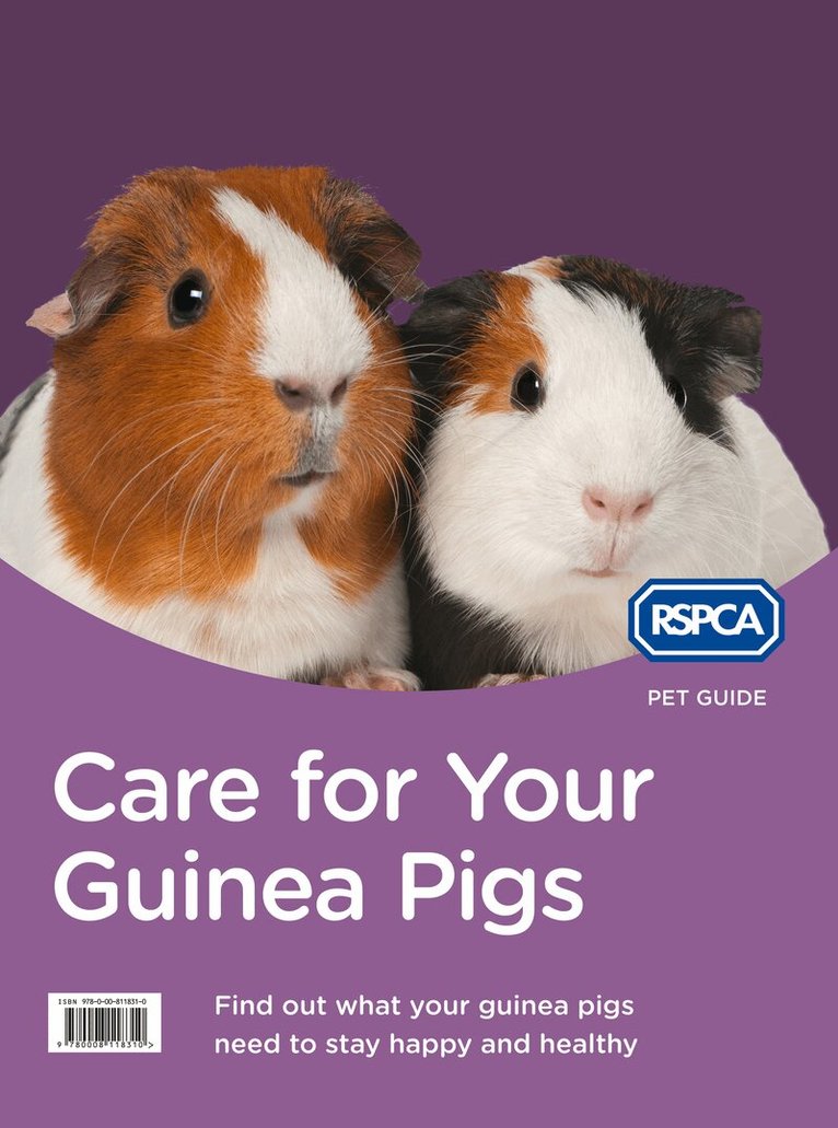 RSPCA - Care for Your Guinea Pigs, E-bok