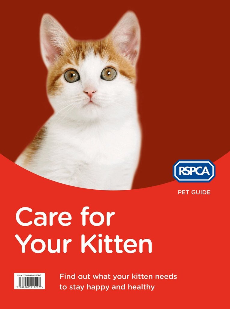 RSPCA - Care for Your Kitten, E-bok