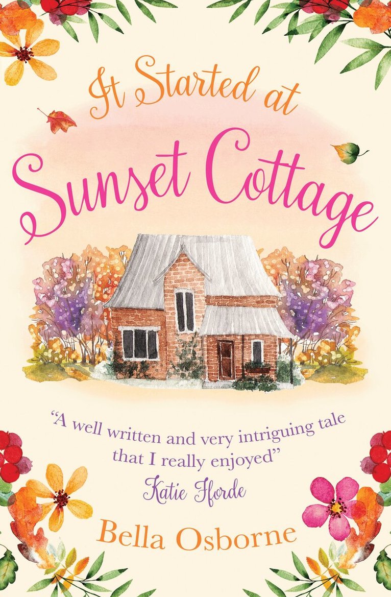Bella Osborne - It Started at Sunset Cottage, E-bok