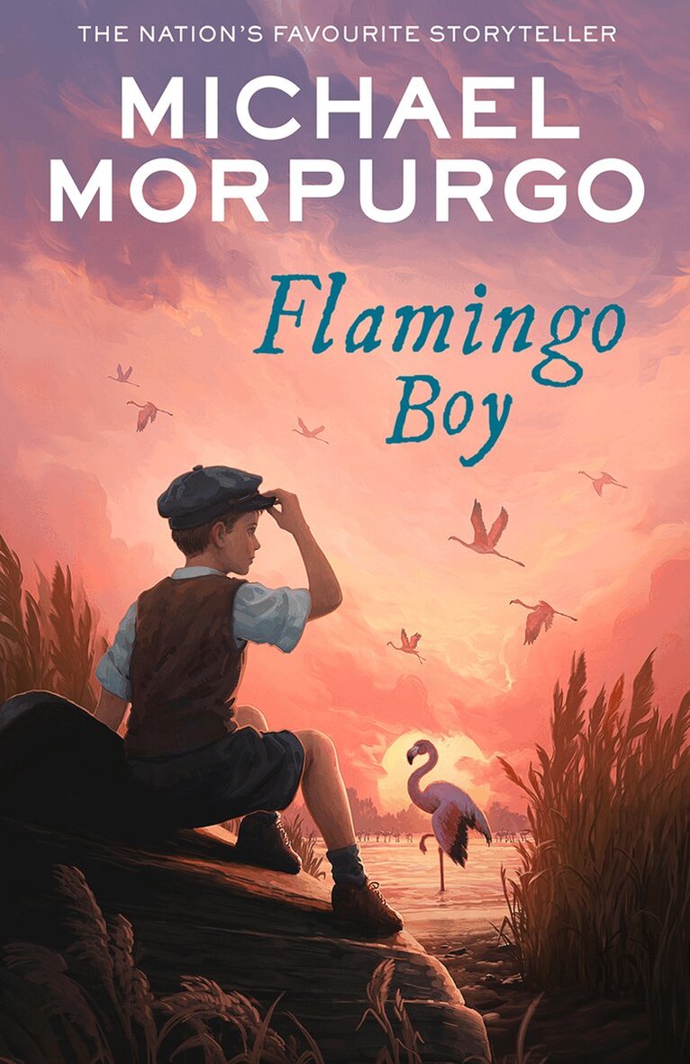 Michael Morpurgo - Flamingo Boy, E-bok