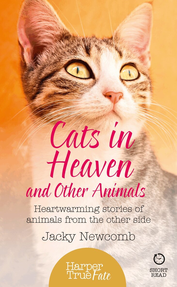 Jacky Newcomb - Cats in Heaven, E-bok