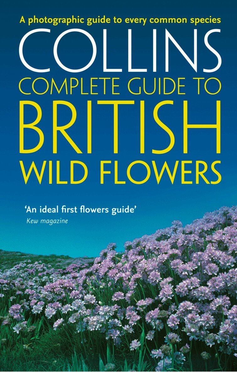 Paul Sterry - British Wild Flowers, E-bok