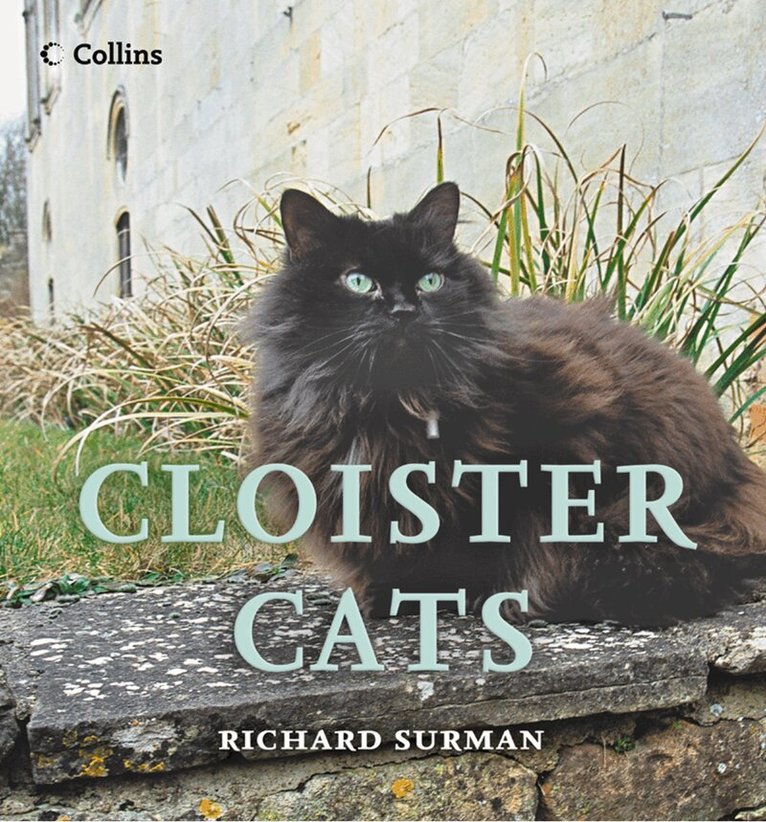 Richard Surman - Cloister Cats, E-bok. Tillgänglighet: Lägg i varukorg