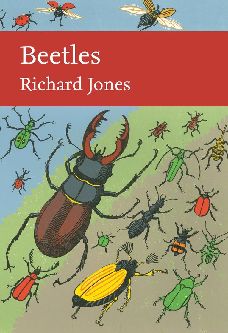 Richard Jones - Beetles, E-bok