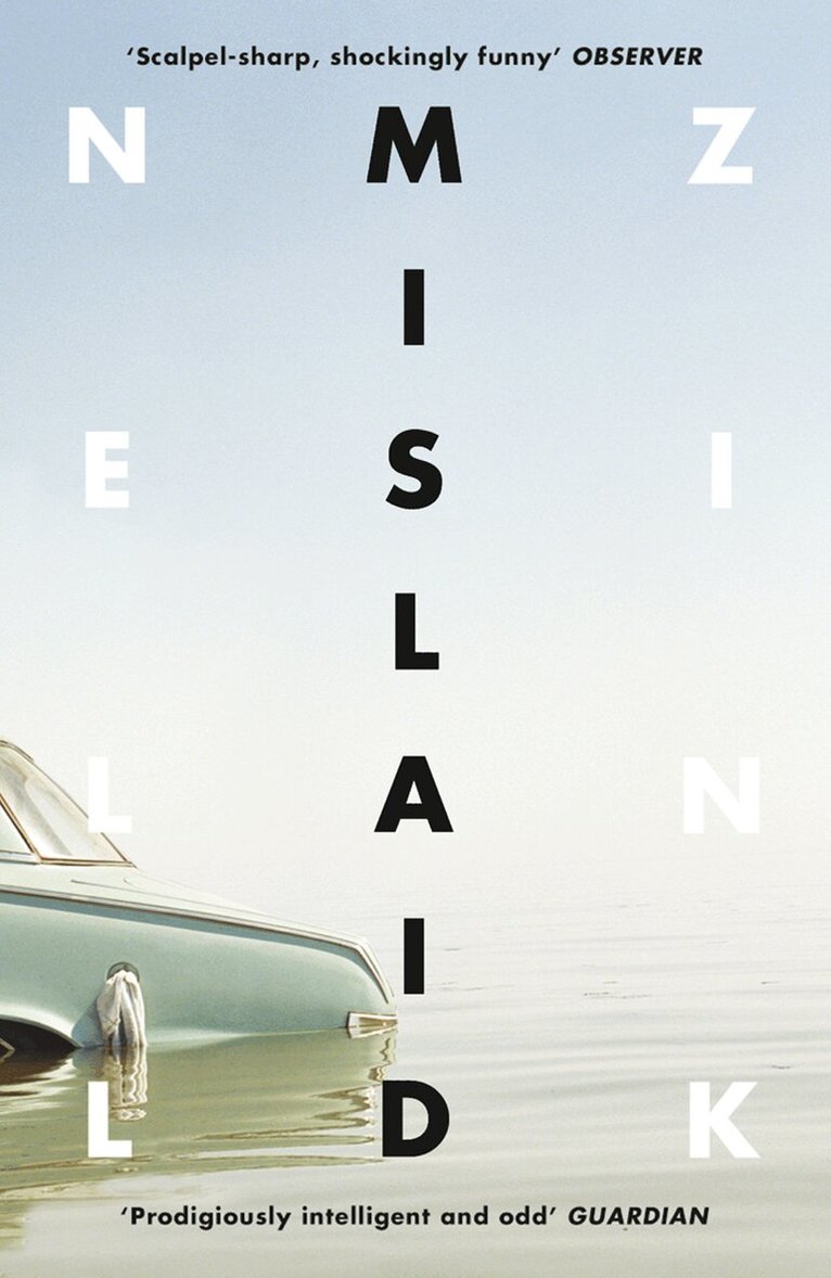 Nell Zink - Mislaid, E-bok