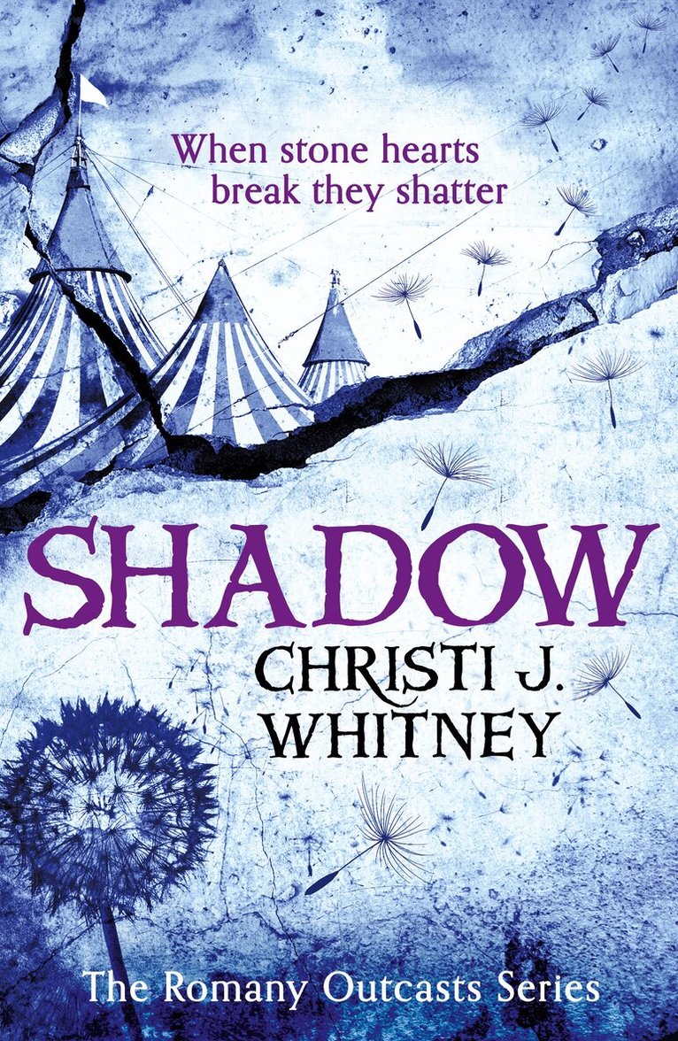Christi J. Whitney - Shadow, Häftad. Tillgänglighet: Lägg i varukorg