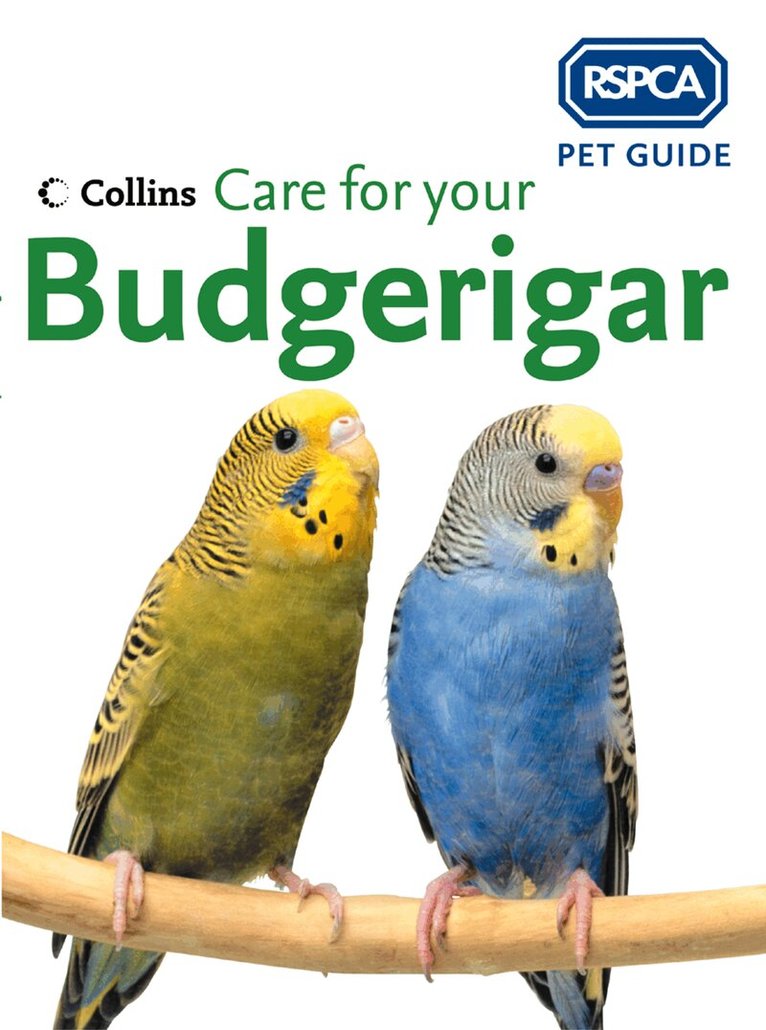 RSPCA - Care for your Budgerigar, E-bok