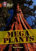 Mega Plants