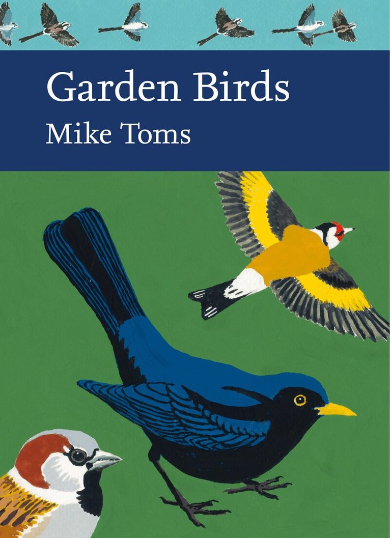 Mike Toms - Garden Birds, E-bok