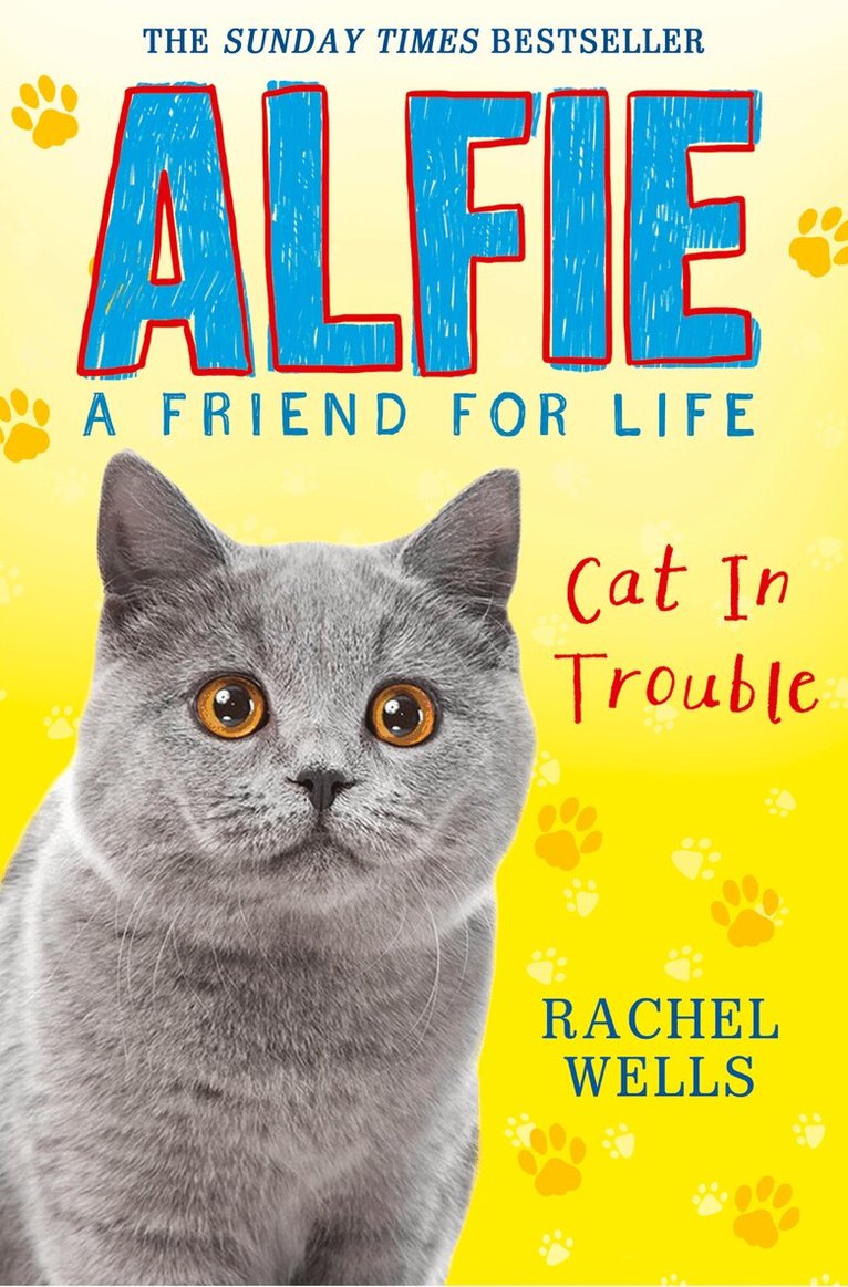 Rachel Wells - Alfie Cat In Trouble, E-bok