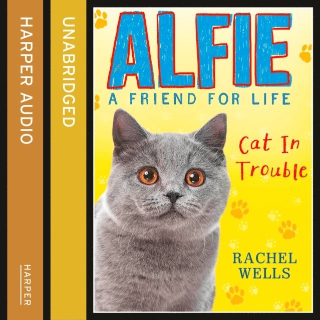 Rachel Wells - Alfie Cat In Trouble, Ljudbok