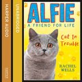 ALFIE CAT IN TROUBLE EA