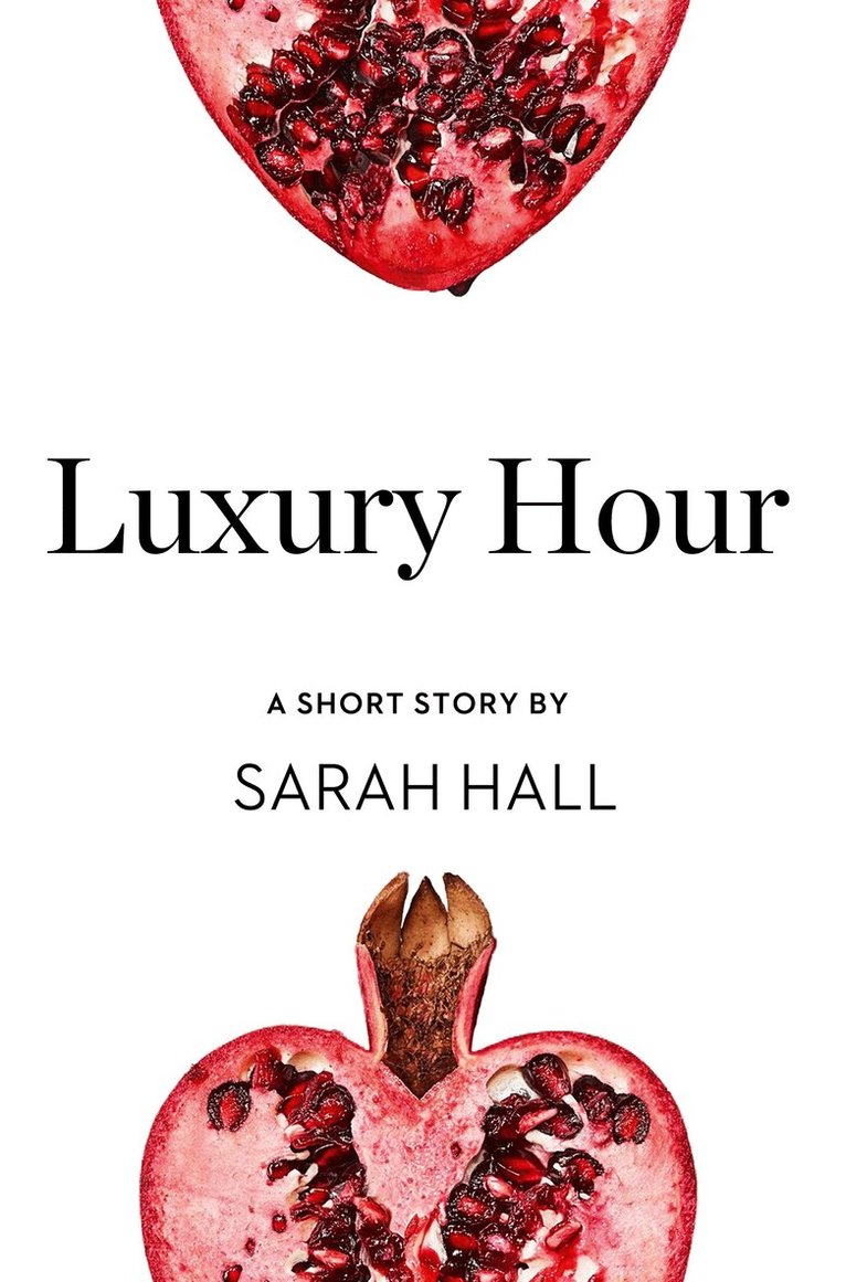 Sarah Hall - Luxury Hour, E-bok
