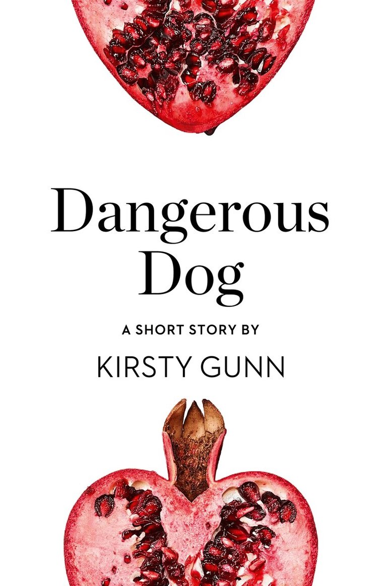 Kirsty Gunn - Dangerous Dog, E-bok