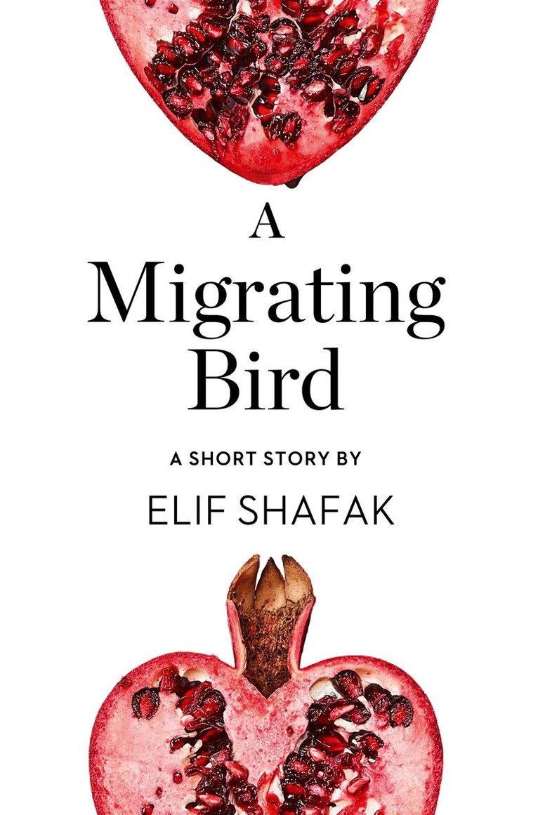 Elif Shafak - Migrating Bird, E-bok