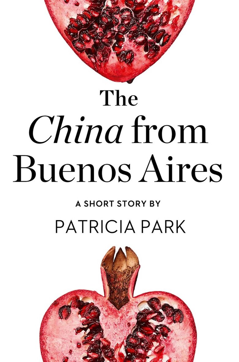 Patricia Park - China from Buenos Aires, E-bok