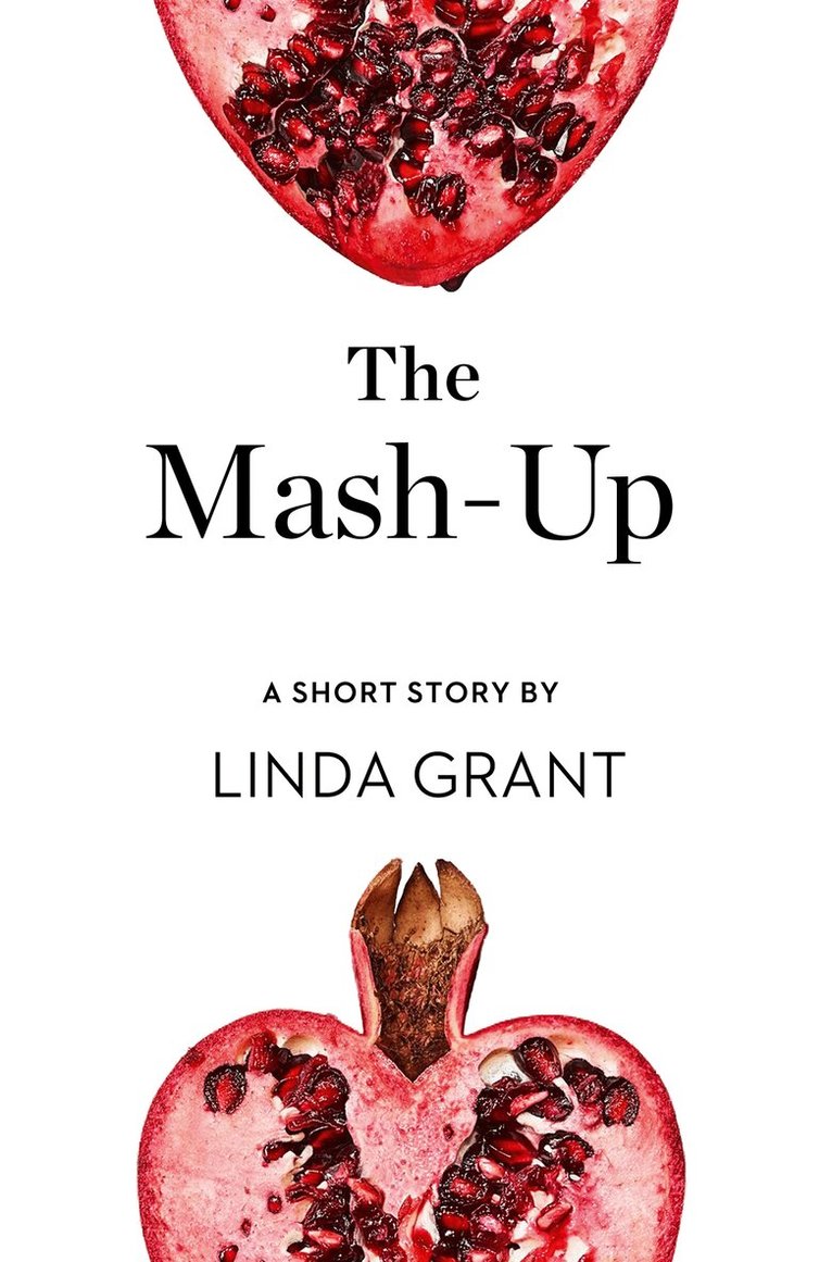 Linda Grant - Mash-Up, E-bok